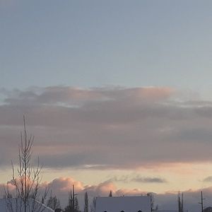 Meet your Posher, Rose